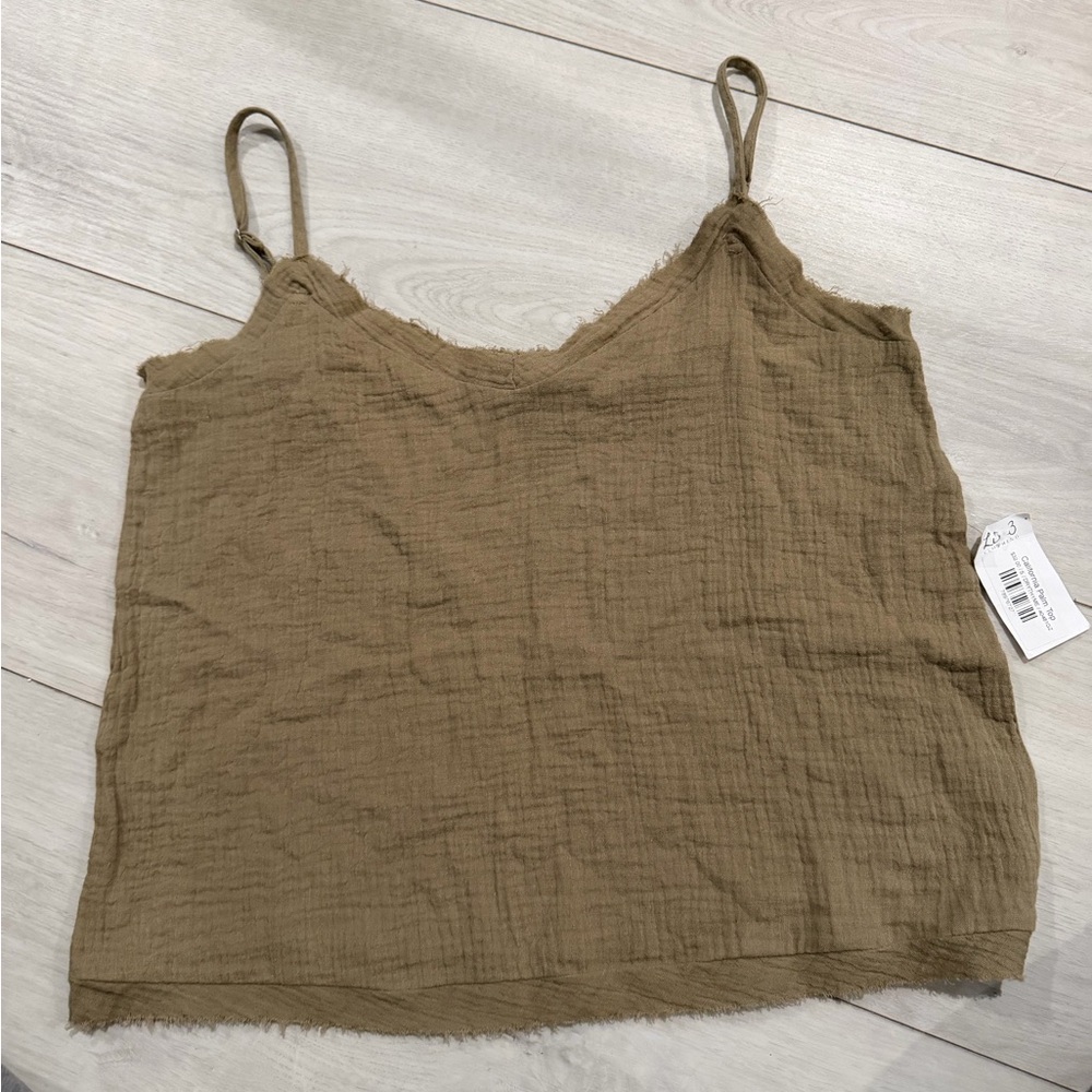 Liv 3 California palm top